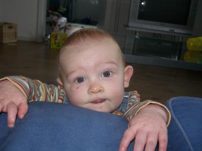 noah