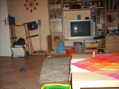 suchbild2
