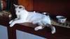 Bild-291