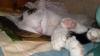 Bild-354