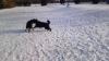 Schnee2012-018