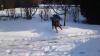 Schnee2012-022