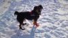 Schnee2012-029