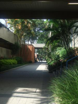Sao-Paulo062