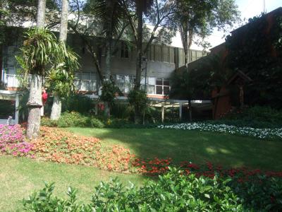Sao-Paulo068