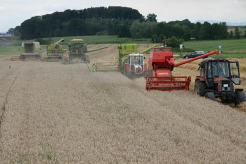 Bild-36