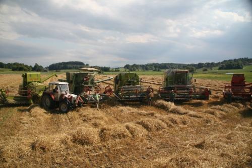 Bild14