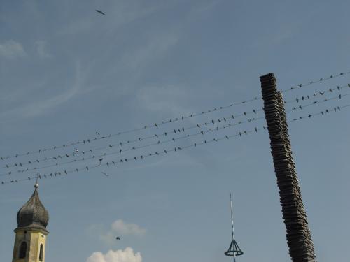 DSC06710