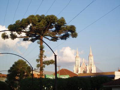 kirche-pinie