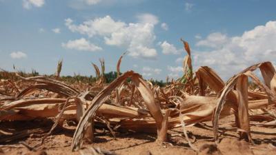 Duerre-in-Kalifornien