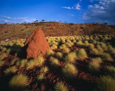 Australien