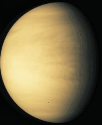 venus