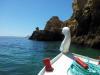 Unsere "barca d'amore",das Schwanenboot
<br />
mit dem"Felsekamel" im Hintergrund