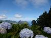 Wunschbild: Madeira (Portela)