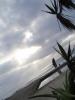 Strand2