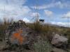 Wanderung