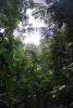 urwald