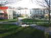 Babson College Rundgang 4