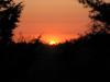 Babson Sonnenaufgang
