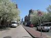 Boston Fruehlingseindruecke
