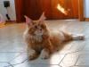 Bild-320