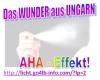 folgt