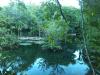 Cenote-Azul1
