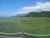 Lago de Chapala. Vergleichbar mit dem Bodensee nur unglaublich verschmutzt, sodass man nicht baden kann. Trotzdem ein Touristenmagnet