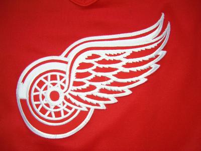 McClelland-Red-Wings-89-90-Away-Logo