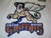 PICARD-GRIFFINS-99-00-LOGO