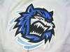 Papineau-Bridgeport-04-05-Home-Logo