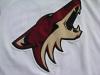 Seidenberg-Coyotes-05-06-Away-Set-2-Logo