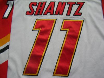 Shantz-Number-Cal
