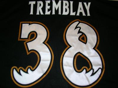 Tremblay-Moose-06-07-Home-PO-Number
