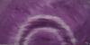 bild5-crop
