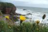 2008_0916Bild0048