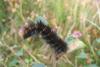 2008_0916Bild0248