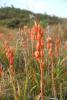 2008_0916Bild0251