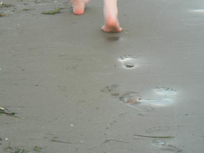 Fußspuren im Sand 