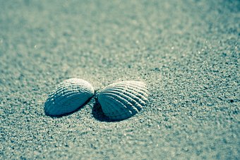 196450-stock-photo-ferien-urlaub-reisen-strand-liebe-gefuehle-sand-glueck