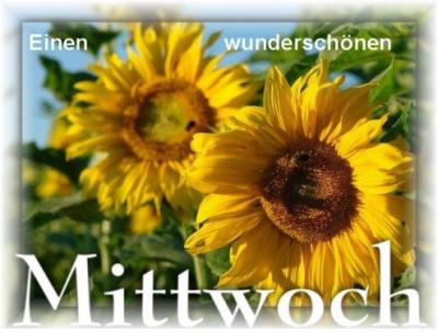 2007907_3e0f7fdb68_m