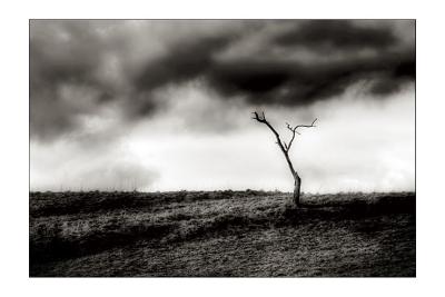 Bonjour_Tristesse__CRW_8319_TM_Glow_SW2_Rahmen_