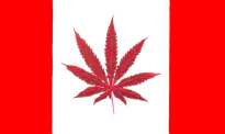 Kanada-kriegsflagge
