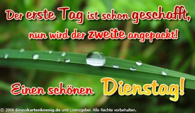 einen_schoenen_dienstag