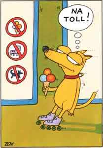 hund_mit_eis1