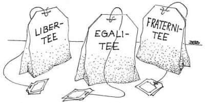 tee_320705