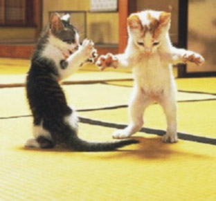 Tanzende-Katzen
