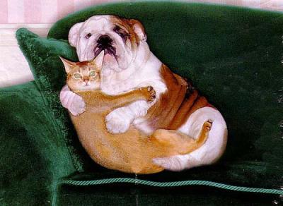 Wo-die-Liebe-hinfaellt