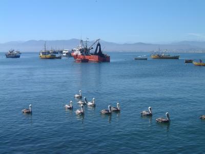 Stadt nahe La Serena, super niedlicher Hafen mit Fischerei und Restaurants