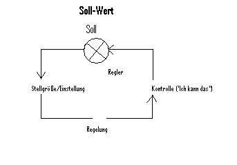 Bild-3